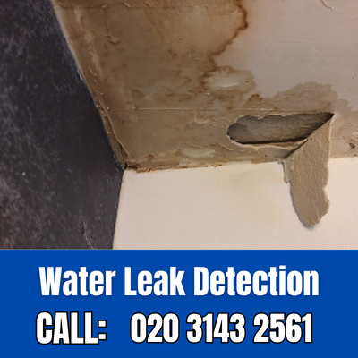 Expert Water Leak Detection Services in Gidea Park | Gidea Park Leak Detection